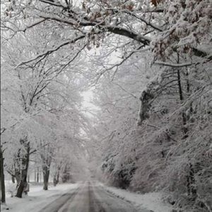 Meet your Posher, Lori